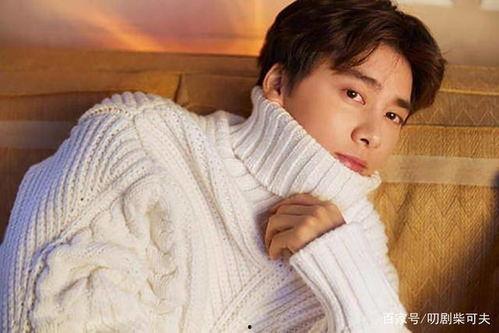 圈内小料爆料李易峰,圈内小料揭秘，明星背后的故事与真相